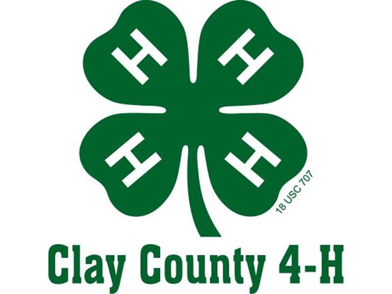 Logo for 2025 Clay County 4-H/FFA Fair