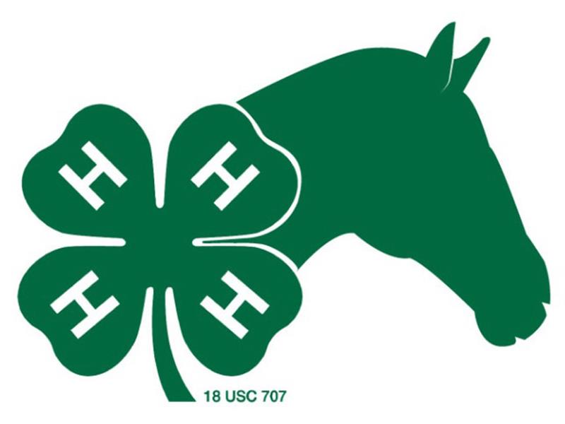 Logo for 2025 South Dakota State 4-H Horse Show