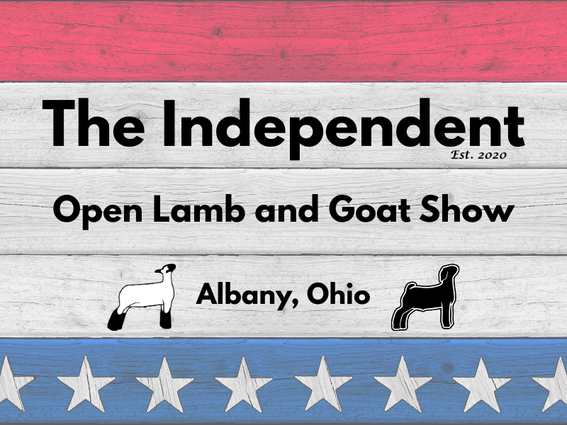 Logo for 2025 The Independent