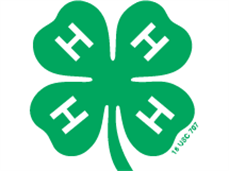 Logo for 2025 Orange County 4-H Fair