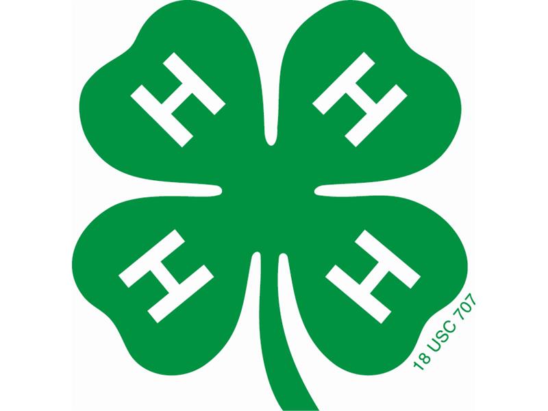 Logo for 2025 Park County 4-H/FFA Ag Fair