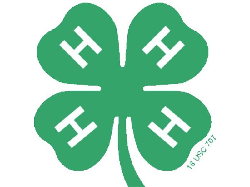 Logo for 2025 Turner County 4-H Horse Show