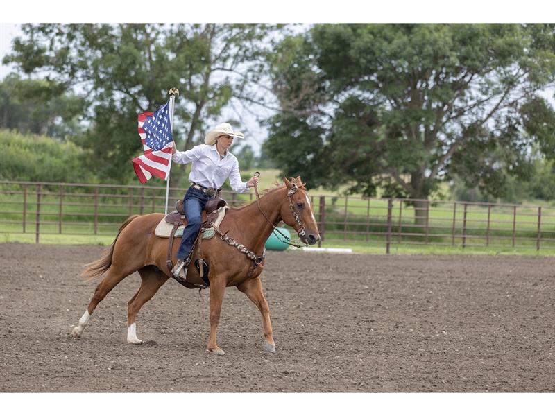 Logo for 2025 Lincoln County 4-H Horse Show