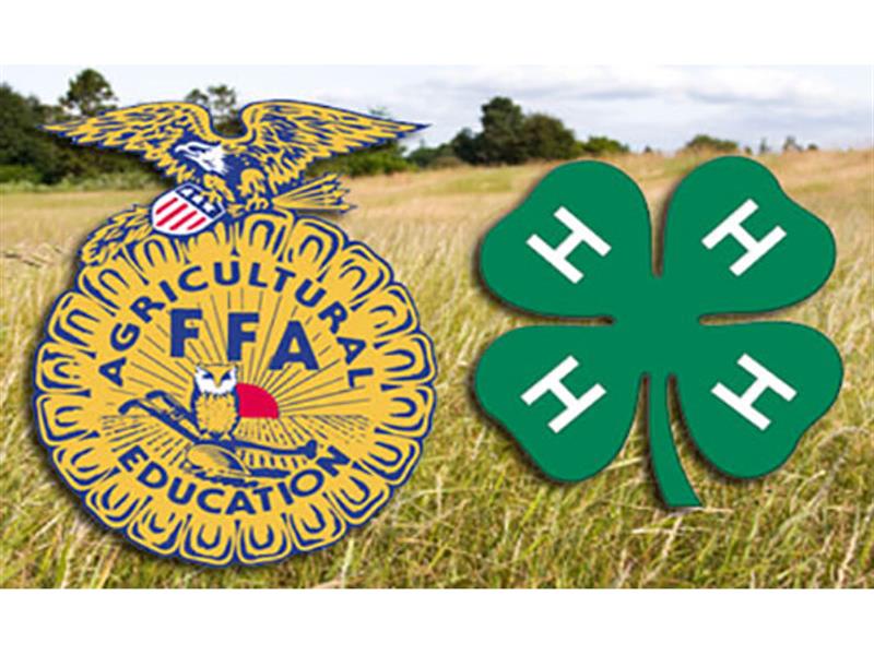 Logo for 2025 Schuyler Co. Jr. Livestock Show