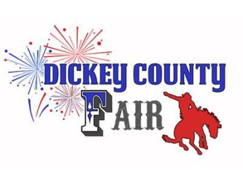 Logo for 2025 Dickey County Fair