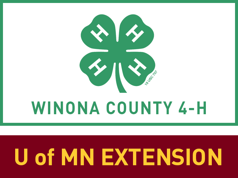 Logo for 2025 Winona County Fair