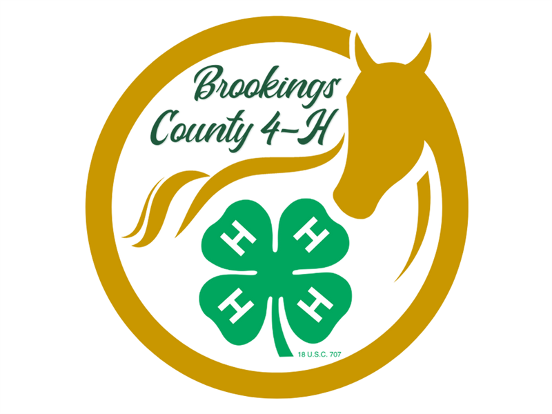 Logo for 2025 Brookings County Horse Show