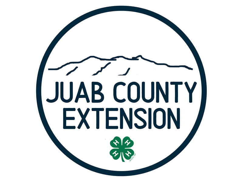 Logo for 2025 Juab County 4-H Fair