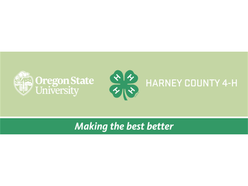 Logo for 2025 Harney County 4-H Fair